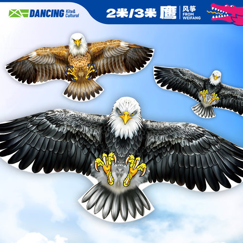 2026新款板鹰潍坊啸空黑鹰风筝老鹰微风易飞儿童手持大人专用高档