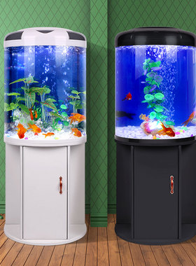 闽江半圆形生态金鱼缸靠墙圆柱中小型创意造景客厅家用玻璃水族箱