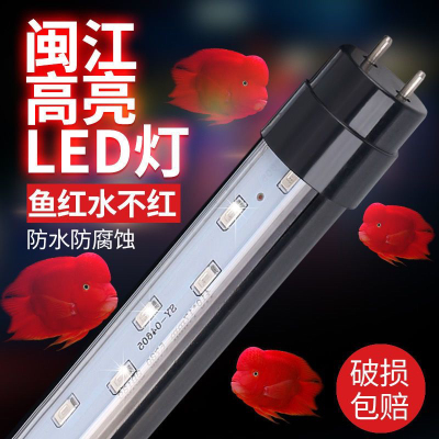 闽江原装鱼缸灯水族箱多色LED灯管防水三基色龙鱼灯超亮照明灯管