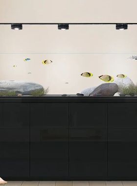 闽江溪流缸客厅家用大型原生造景南美缸简约现代背包底滤生态鱼缸