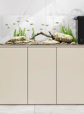 闽江溪流缸原生造景南美缸简约现代三湖慈鲷背包底滤生态鱼缸草缸