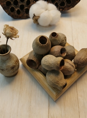 【咕噜果】 招财果 豆荚娃娃果壳种子风铃DIY天然装饰材料