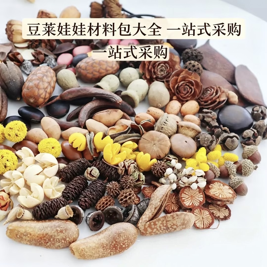 豆荚·果壳娃娃手工DIY材料包，含种子，配件，配饰全套制作工具