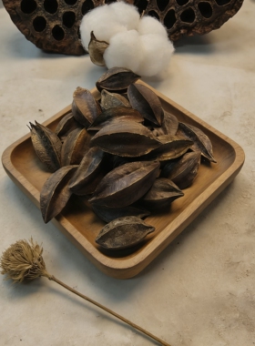 【使君子】 五棱子 豆荚娃娃果壳种子风铃DIY天然装饰材料
