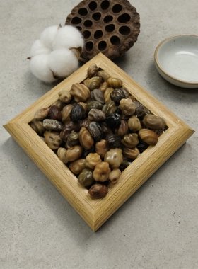 【龙脊菩提】 龙脊菩提豆荚娃娃果壳种子风铃DIY天然装饰材料