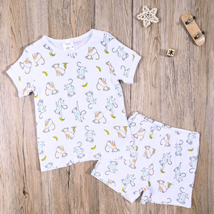 子两件套装 ZR外贸欧美男宝夏款 休闲舒适家居短裤 T恤上衣 纯棉短袖