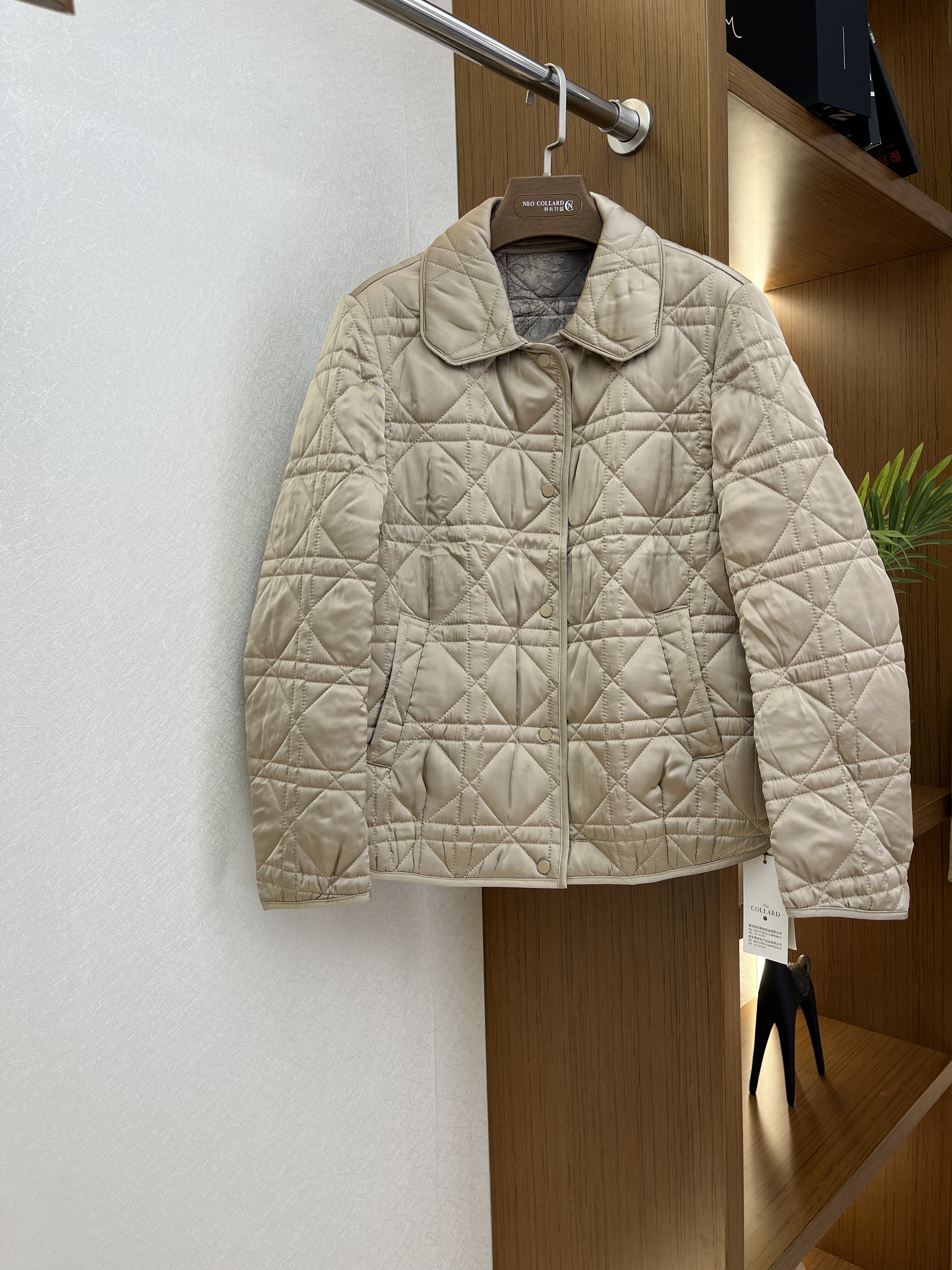 羽衣甘蓝冬季新款棉衣