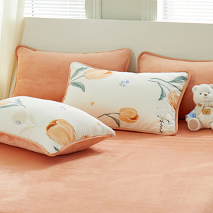 纯棉加绒枕套一对全棉牛奶绒ab面单面绒秋冬四季枕头套单人枕芯套
