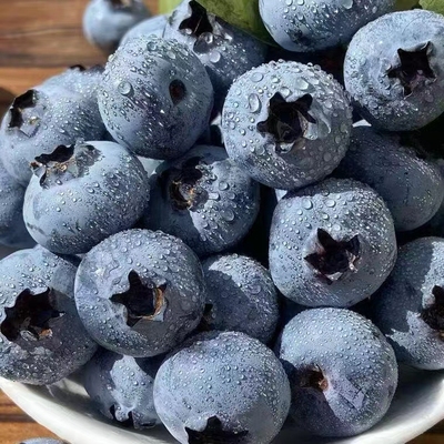 顺丰空运露天新鲜蓝莓孕妇儿童辅食当季水果现摘现发1斤大果蓝莓