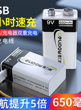 德力普9v充电锂电池大容量万用表6F22方块话筒吉他usb九伏可充电