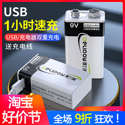 德力普9v充电锂电池大容量万用表6F22方块话筒吉他usb九伏可充电