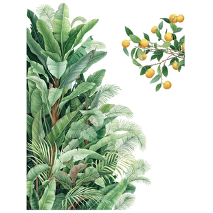 绿植芭蕉叶墙贴房门贴墙角装饰客厅卧室背景墙温馨卧室床头防水