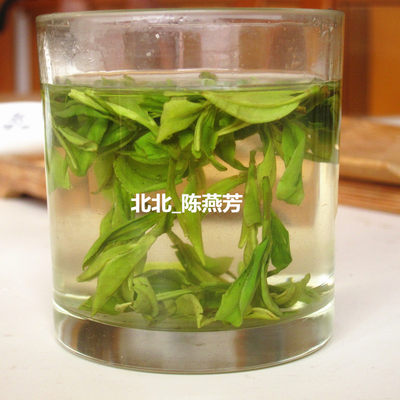 2024年新茶500克浓香龙井茶绿茶