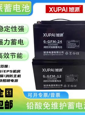 XUPAl旭派12V20AH24AH33AH消防主机UPS应急照明电源