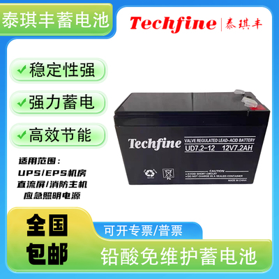 泰琪丰蓄电池应急蓄电池