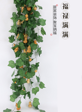 家居装饰绿藤缠绕天然的小葫芦绿植藤条管道缠绕吊顶装饰绿藤葫芦