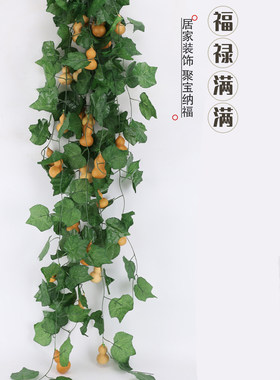 家居装饰绿藤缠绕天然的小葫芦绿植藤条管道缠绕吊顶装饰绿藤葫芦
