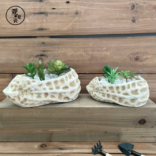 新潮州17年厂家创意花生多肉花盆