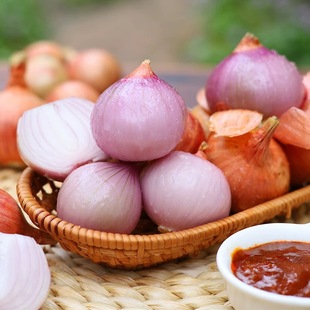 东北毛葱小葱头佳木斯烧烤店红葱头拌酱新鲜蔬菜特辣毛葱鬼子葱