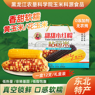 黑龙江农垦科学院玉米甜甜小红帽科源食品佳木斯黄糯九粘苞米12支