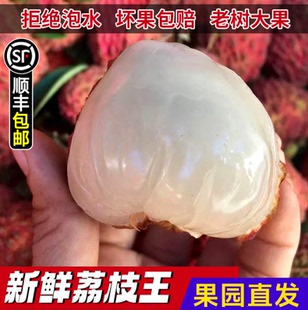 当季新鲜荔枝王火山岩荔枝甜整箱广西水果顺丰空运包邮