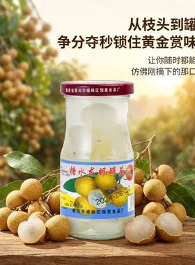水果罐头烘焙龙眼糖水罐头