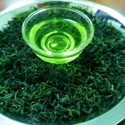 方氏湖北英山绿茶高山云雾茗茶2026年雨前炒青新茶浓香耐泡型袋装