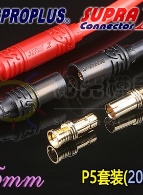 RCPROPLUS REB 5810 CS P20 24k镀金5mm香蕉插 模型 锂电 电池