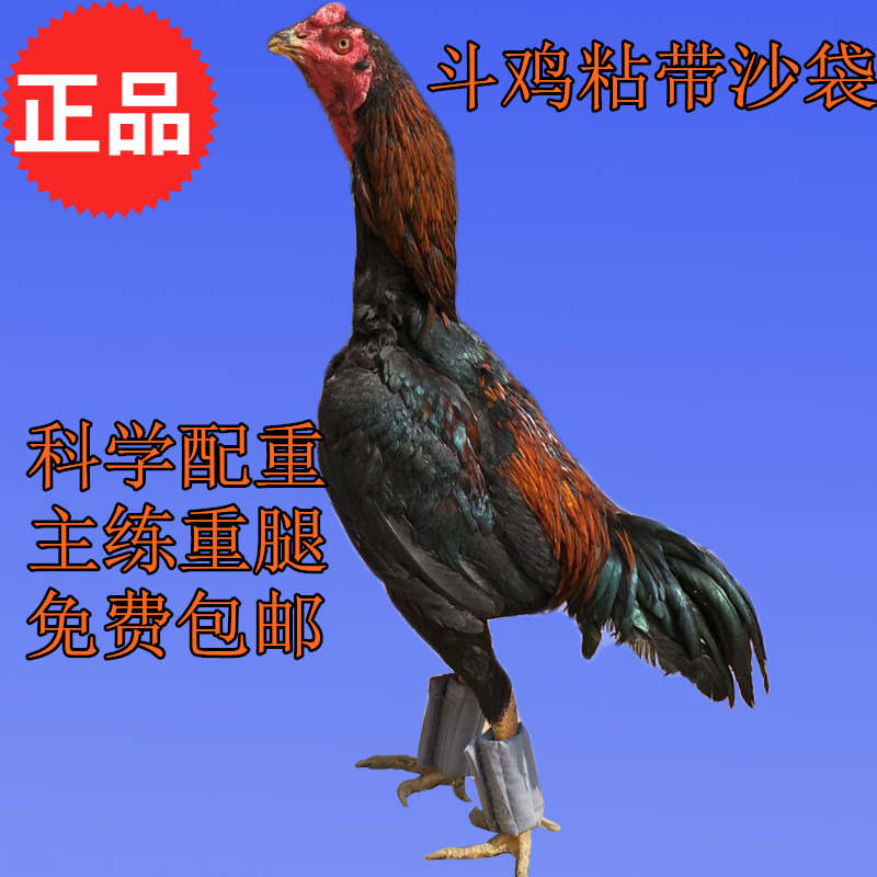 斗鸡沙袋斗鸡练腿沙袋斗鸡训练用具斗鸡用品斗鸡免运费rwoele5rir