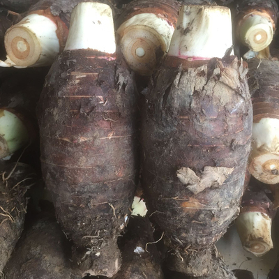 韶关乐昌特产农家自种张溪炮弹香芋现挖槟榔芋头新鲜地栗粉糯可口