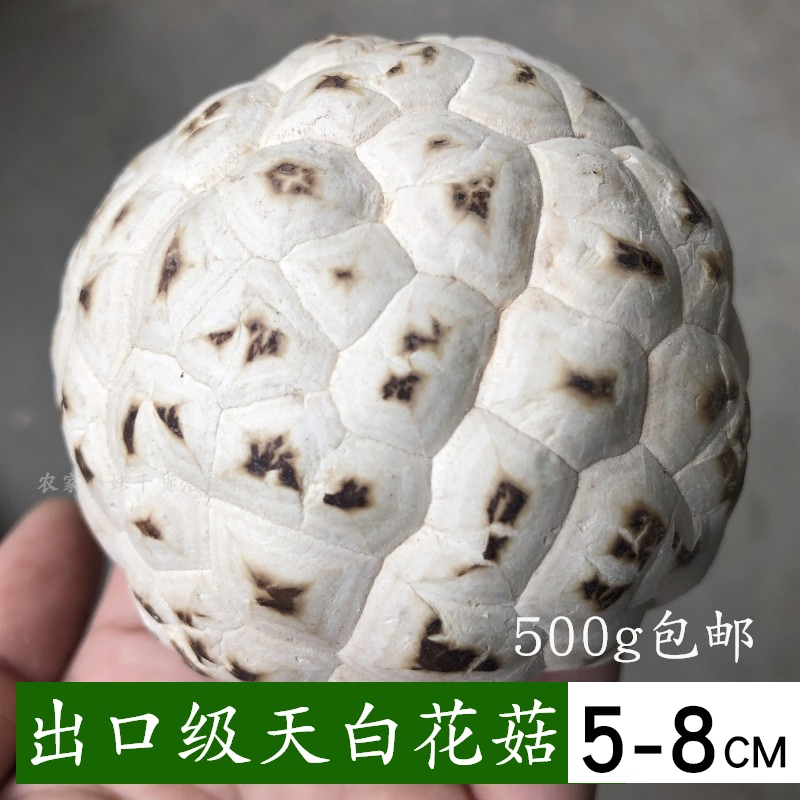 泌阳花菇干货500g包邮干香菇肉厚剪脚大花菇冬菇出口特级天白蘑菇-封面