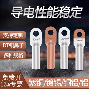 DT铜鼻子铜耳接头 线耳 线鼻子接线端子25平方铜接头接线铜鼻紫铜