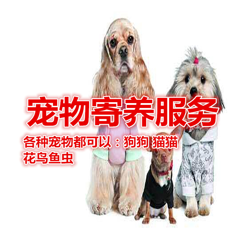 面向全国重庆主城各种宠物寄养代养狗狗猫猫托管托儿所花鸟鱼虫