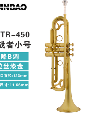 津宝（JINBAO）乐器JBTR-450挑战者小号降B调漆拉丝金色专业演奏