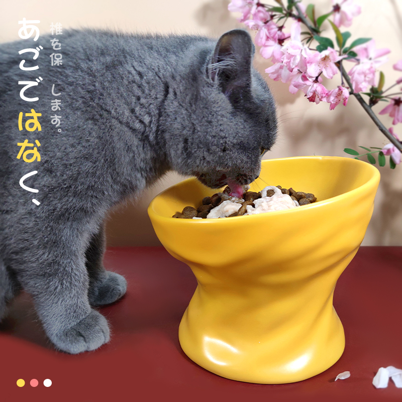 猫碗高脚陶瓷保护颈椎猫粮碗猫咪水碗狗狗食盆斜口宠物喝水防打翻 宠物/宠物食品及用品 猫狗碗/慢食碗 原图主图