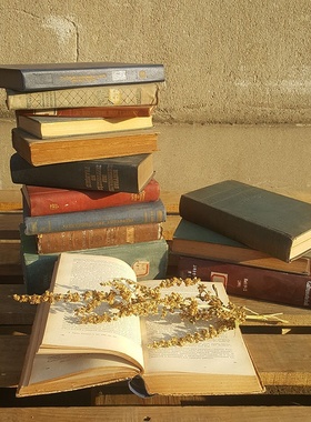 复古英文二手旧书古董书陈年老摆件拍摄背景外文桌面装饰书拍照