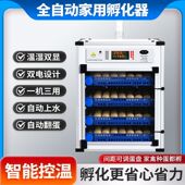 孵化器中小型家用孵化机芦丁鸡小鸡全自动孵蛋器智能鸡蛋孵化箱