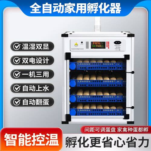 孵化器全自动智能芦丁鸡