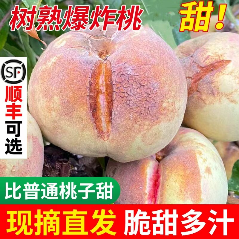冬桃山东脆桃沂蒙山现摘桃子