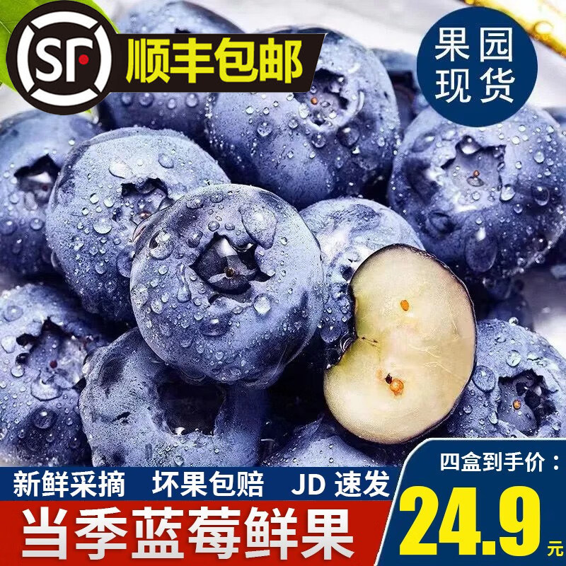 云南新鲜蓝莓鲜果大果