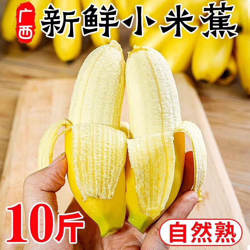 正宗广西小米蕉香蕉9斤