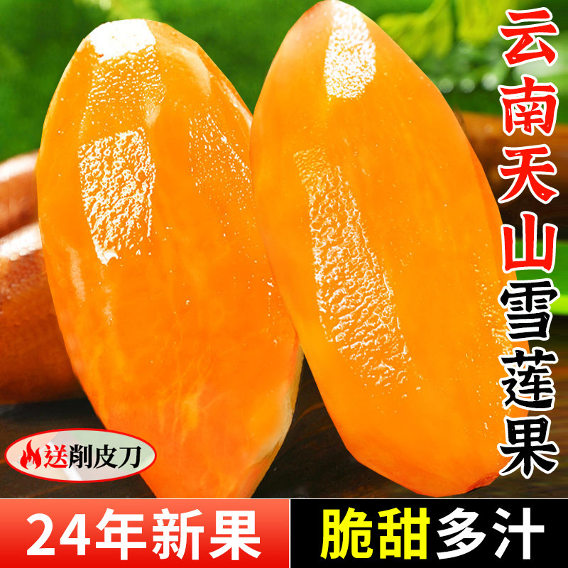 云南天山雪莲果9斤新鲜水果