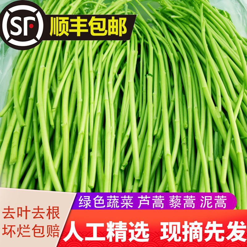 新鲜芦蒿藜蒿芦蒿领券下单野菜