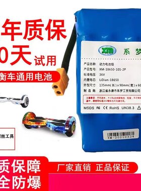 平衡车电池扭扭车36V42V电瓶