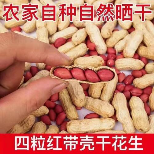 红皮花生原味炒花生铁锅晒干