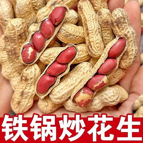 红皮花生原味炒花生铁锅晒干