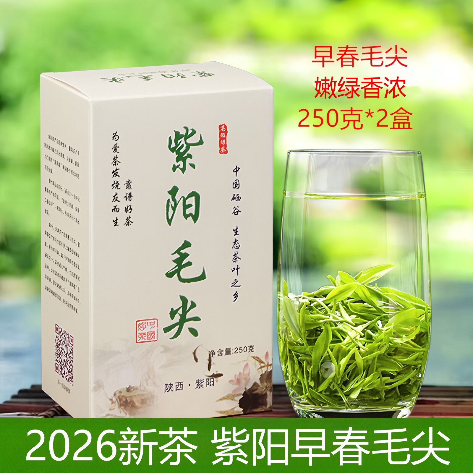 2026新茶绿茶紫阳茶散装茶陕青茶安康绿茶紫阳富硒茶紫阳毛尖茶叶