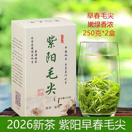 绿茶紫阳散装毛尖包邮豆香浓香