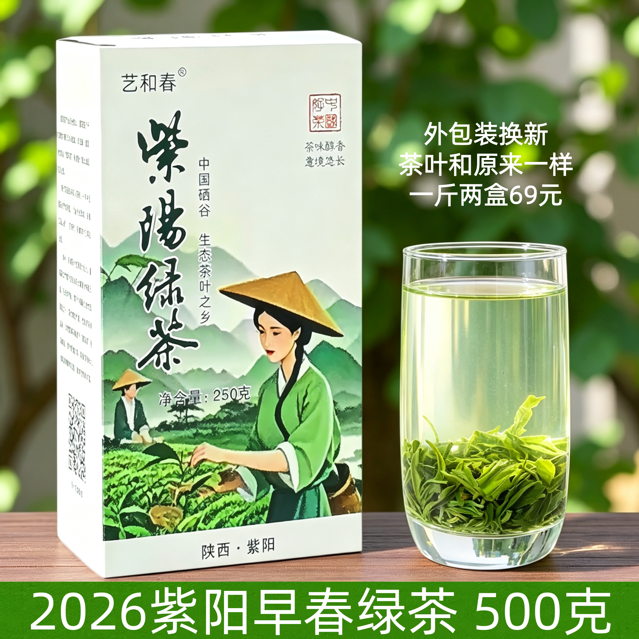 紫阳绿茶早春高山茶叶性价比高图片