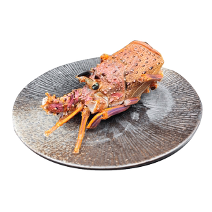 澳洲大龙虾头3-4头/公斤花龙红龙虾头澳龙头西澳岩石龙虾生冻